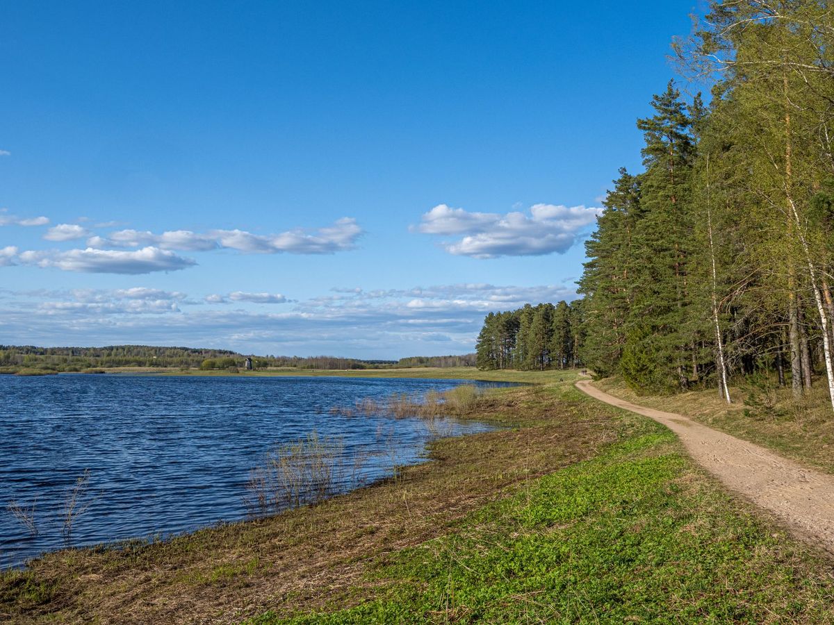 A tranquil lakeside path with lush greenery and blue skies in spring.